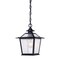 Homeroots 11.75 x 8 x 8 in. Salem 1-Light Matte Black Hanging Light 398031 - alternate 2